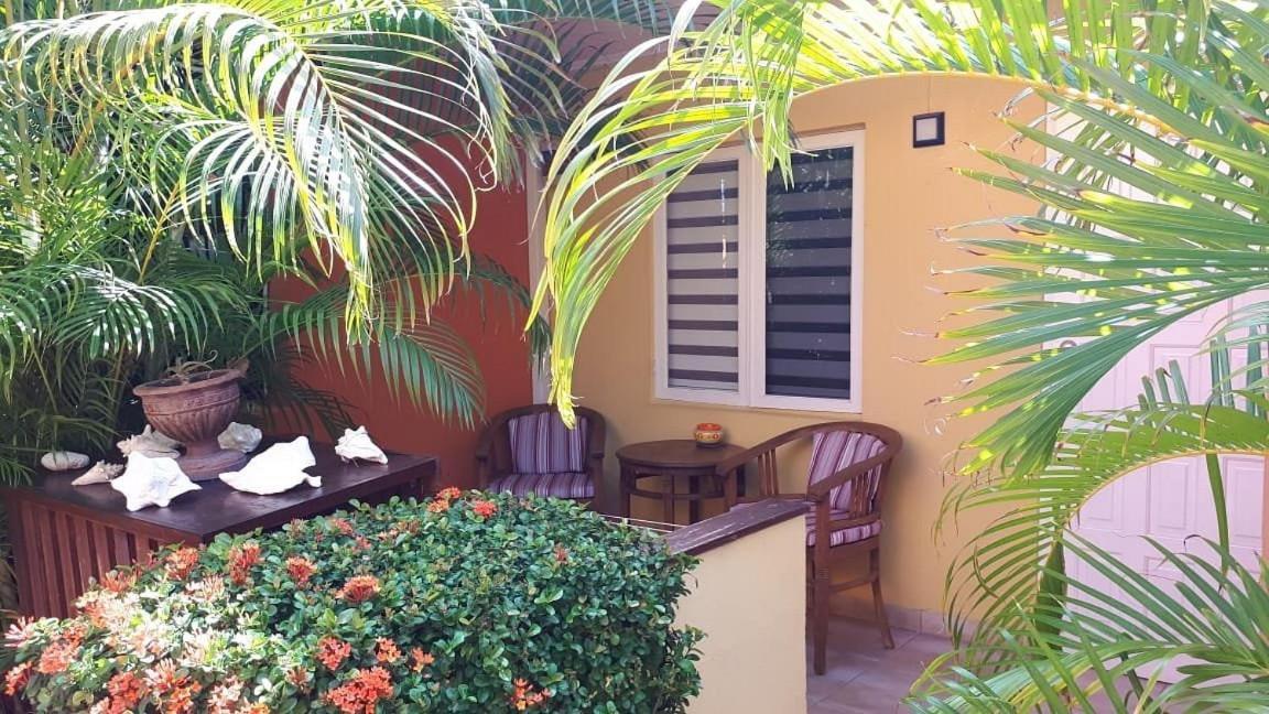 Carinas Studio Apartments Palm Beach Eksteriør billede
